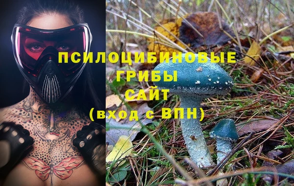 гашик Арсеньев