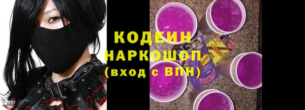 гашик Арсеньев