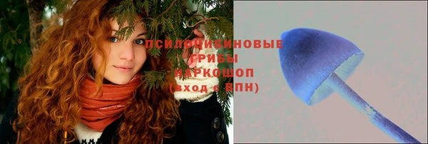 гашик Арсеньев