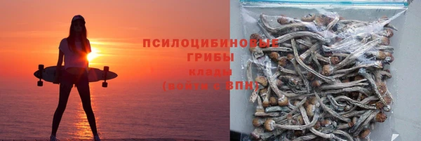 шишки Аркадак