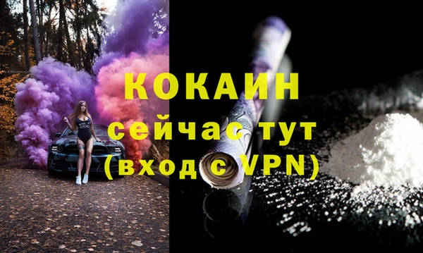 шишки Аркадак