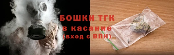 шишки Аркадак