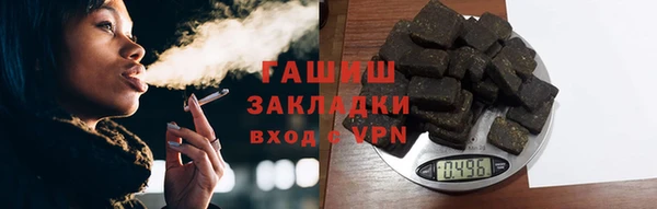 шишки Аркадак