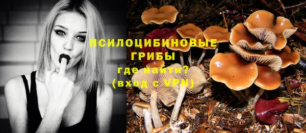 шишки Аркадак