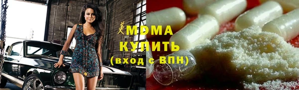 шишки Аркадак