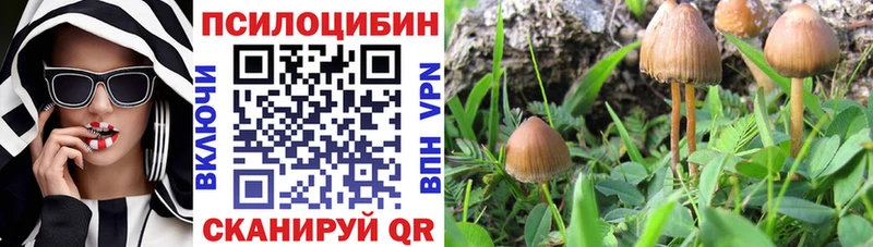 Псилоцибиновые грибы мицелий  закладка  Артёмовский 